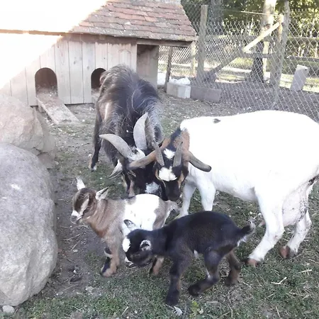 Confortable Avec Animaux, Jardin Et Wifi Inclus, Cadre Paisible En Normandie - Fr-1-497-6 Venkovský dům *