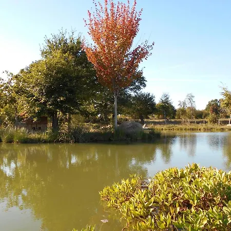 Confortable Avec Animaux, Jardin Et Wifi Inclus, Cadre Paisible En Normandie - Fr-1-497-6 Casa vacanze