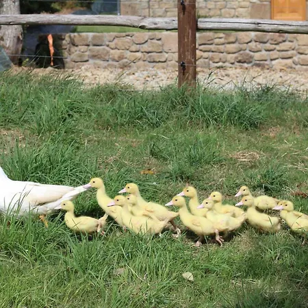 Confortable Avec Animaux, Jardin Et Wifi Inclus, Cadre Paisible En Normandie - Fr-1-497-6 Venkovský dům Céaucé