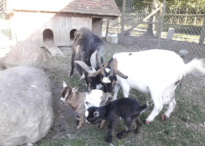 Confortable Avec Animaux, Jardin Et Wifi Inclus, Cadre Paisible En Normandie - Fr-1-497-6 Ferienhaus *