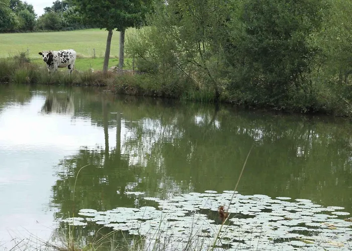 Confortable Avec Animaux, Jardin Et Wifi Inclus, Cadre Paisible En Normandie - Fr-1-497-6 Ferienhaus